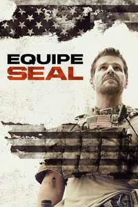 SEAL Team - Posters