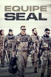 SEAL Team - Posters