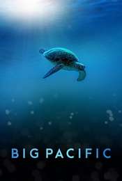 Big Pacific Season 1