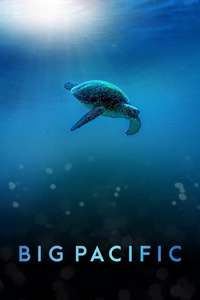 Big Pacific - Posters