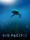Big Pacific : Season 1