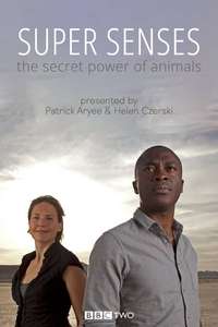Super Senses: The Secret Power of Animals - Poster