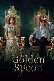 The Golden Spoon Season 1