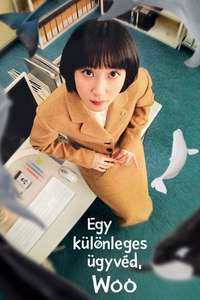 Extraordinary Attorney Woo - Posters