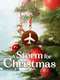 A Storm for Christmas : Season 1