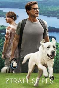 Dog Gone - Poster