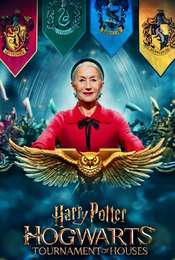 Harry Potter: Hogwarts Tournament of Houses Season 1
