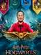 Harry Potter: Hogwarts Tournament of Houses : Season 1