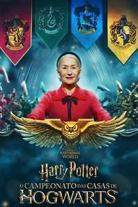 Harry Potter: Hogwarts Tournament of Houses - Posters