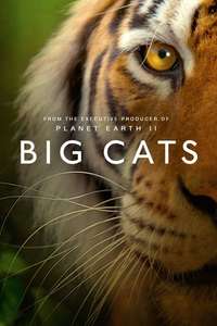 Big Cats - Posters