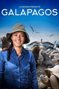 Galapagos - Posters
