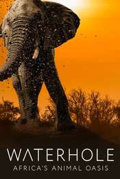 Waterhole: Africa's Animal Oasis Season 1