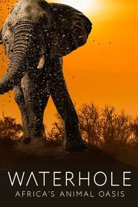 Waterhole: Africa's Animal Oasis - Poster
