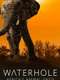 Waterhole: Africa's Animal Oasis : Season 1