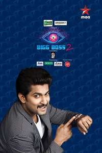 Bigg Boss - Posters