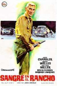 Man in the Shadow - Poster
