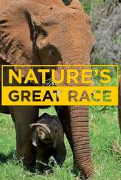 Nature's Great Race Season 1