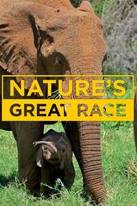 Nature's Great Race - Poster