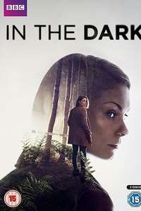 In the Dark - Posters