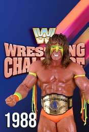 WWF Wrestling Challenge Season 1988