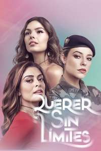 A Força do Querer - Posters