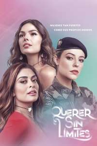 A Força do Querer - Posters