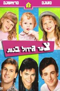 Full House - Posters