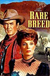 The Rare Breed - Poster