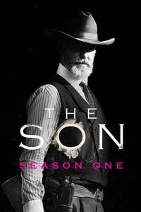 The Son - Posters