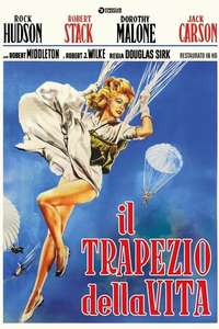 The Tarnished Angels - Poster