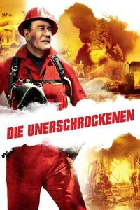Hellfighters - Poster