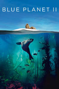 Blue Planet II - Posters