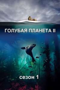 Blue Planet II - Posters