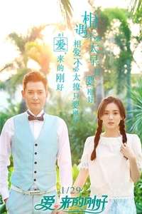 Love  Just Come - Poster