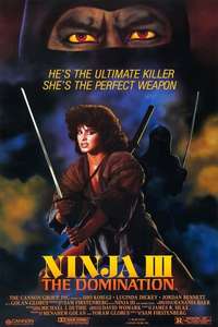 Ninja III: The Domination - Poster