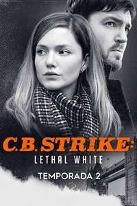 Strike - Posters