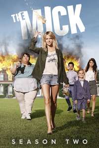 The Mick - Posters
