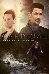 Cardinal - Posters
