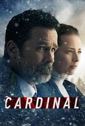 Cardinal Until the Night