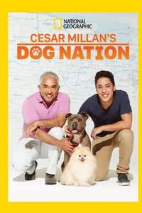 Cesar Millan's Dog Nation - Poster