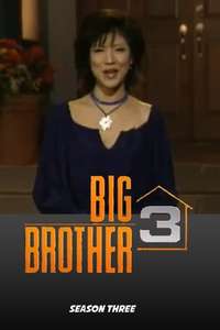 Big Brother - Posters