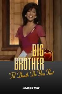 Big Brother - Posters