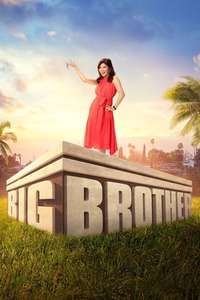 Big Brother - Posters