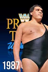WWF Prime Time Wrestling - Poster