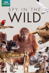 Spy in the Wild - Posters