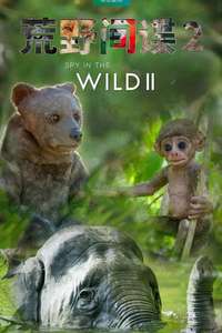 Spy in the Wild - Posters
