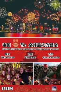Chinese New Year: The Biggest Celebration on Earth - Poster