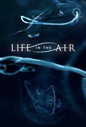 Life in the Air Season 1