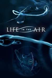 Life in the Air - Poster