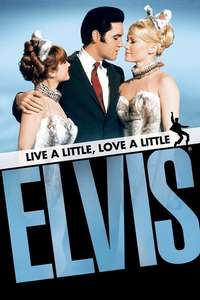 Live a Little  Love a Little - Poster